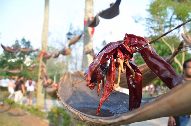 10015636_10152338357964791_1366366236_n