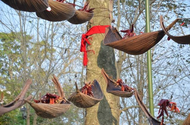 10172846_10152338359144791_275518562_n