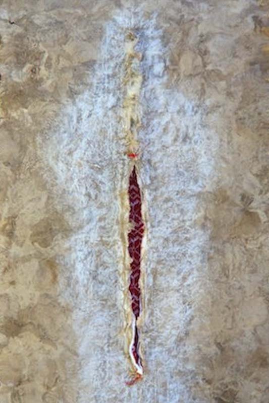 SerOculto2017TecnicaMixta81X64cm