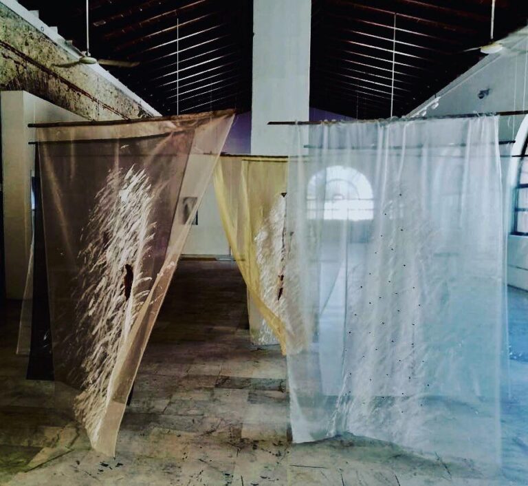 36639394_10156588749639791_5380570243418554368_n