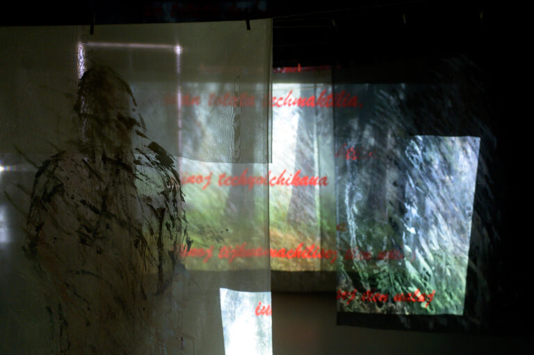 guillermina-ortega-video-instalacion-seres-de-luz-01