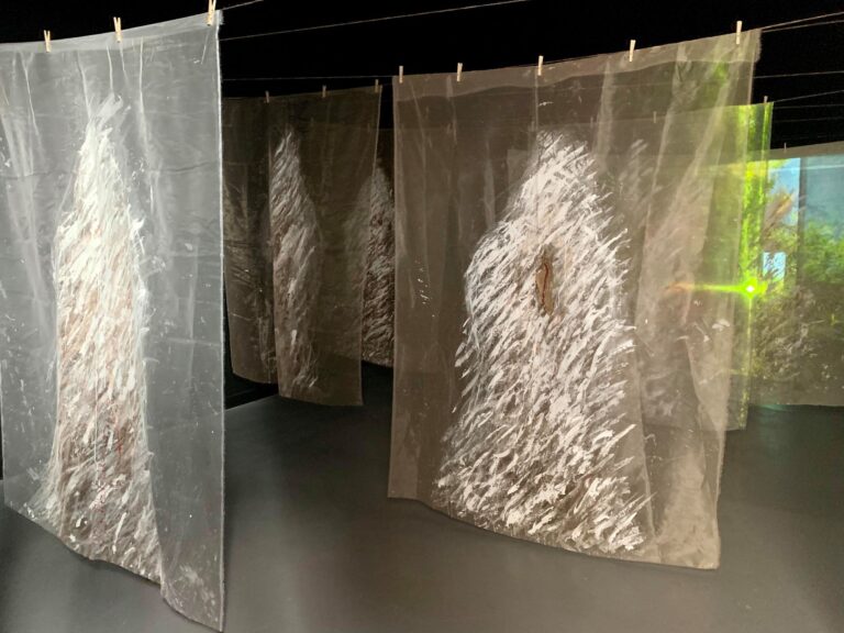 guillermina-ortega-video-instalacion-seres-de-luz-02