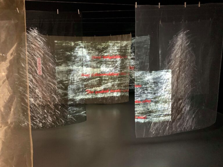 guillermina-ortega-video-instalacion-seres-de-luz-03