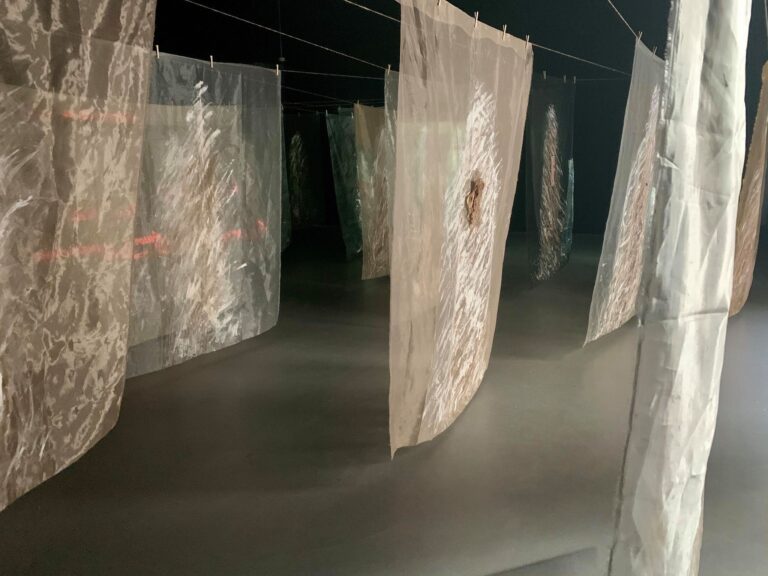 guillermina-ortega-video-instalacion-seres-de-luz-05