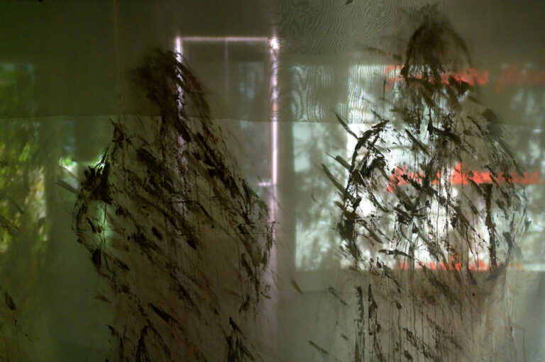 guillermina-ortega-video-instalacion-seres-de-luz-07