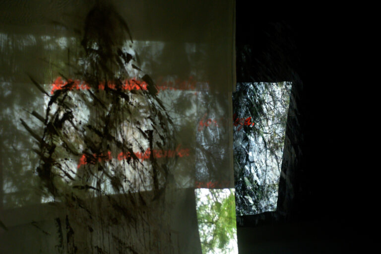 guillermina-ortega-video-instalacion-seres-de-luz-08