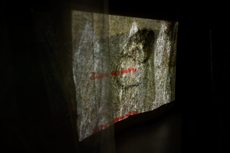 guillermina-ortega-video-instalacion-seres-de-luz-09