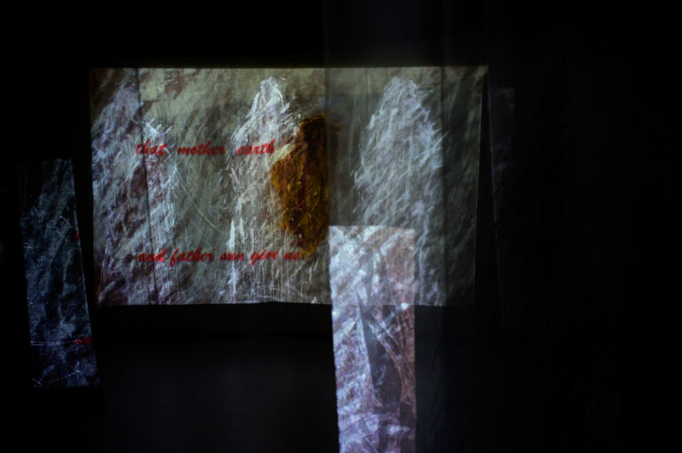 guillermina-ortega-video-instalacion-seres-de-luz-10