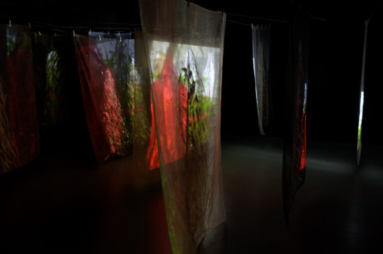 guillermina-ortega-video-instalacion-seres-de-luz-11