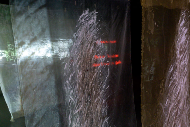 guillermina-ortega-video-instalacion-seres-de-luz-12