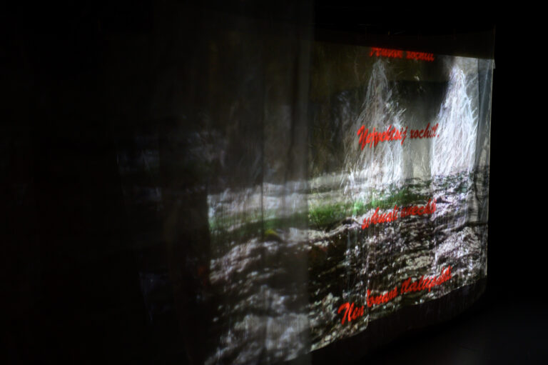 guillermina-ortega-video-instalacion-seres-de-luz-14