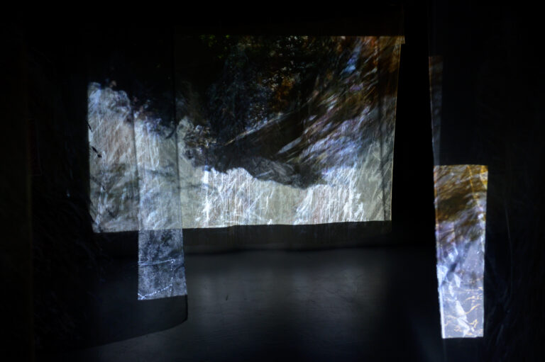 guillermina-ortega-video-instalacion-seres-de-luz-15