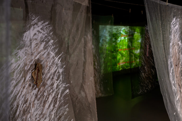 guillermina-ortega-video-instalacion-seres-de-luz-17